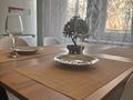 1-комнатная квартира · 37 м² · 3/6 этаж, Темира Масина 41 — Район Парк имени Кирова, СОШ N3 за 14 000 ₸ в Уральске — фото 12