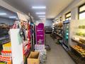 Магазины и бутики · 413 м² за 350 млн ₸ в Байсерке — фото 5