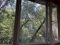 1-бөлмелі пәтер · 30.8 м² · 3/5 қабат, Айнабұлақ-3 ш/а. 108, бағасы: 22.9 млн ₸ в Алматы, Жетысуский р-н — фото 12
