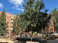 1-комнатная квартира · 45 м² · 1/5 этаж, ЖМ Лесная поляна — Возле бани за 18 млн ₸ в Косшы — фото 8