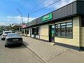 Еркін · 330 м², бағасы: 350 млн ₸ в Алматы, Жетысуский р-н — фото 15