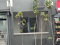 2-комнатная квартира · 62 м² · 1/12 этаж, мкр Алгабас, Омарова 8 — Жк Каргали Сити за 34 млн ₸ в Алматы, Алатауский р-н — фото 6