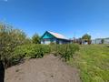 Отдельный дом · 3 комнаты · 52 м² · 8 сот., Черёмушкина за 5.3 млн ₸ в Берёзовка — фото 4