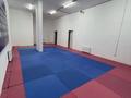 Фитнес және спорт · 104 м², бағасы: 150 000 ₸ в Астане, Есильский р-н