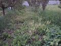 Жеке үй · 6 бөлме · 201 м² · 15 сот., Қонаев 21 — Село Көктөбе, ул. Қонаев 21, бағасы: 80 млн ₸ в Есик — фото 27