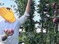 Жеке үй · 6 бөлме · 201 м² · 15 сот., Қонаев 21 — Село Көктөбе, ул. Қонаев 21, бағасы: 80 млн ₸ в Есик — фото 13
