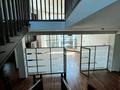 Жеке үй · 10 бөлме · 750 м² · 20 жүзд., Горный Гигант ш/а., Каппарова — Esentai city, бағасы: 3.8 млн ₸ в Алматы, Медеуский р-н — фото 7