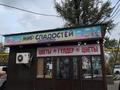 Магазины и бутики · 30 м² за 180 000 ₸ в Талгаре — фото 3