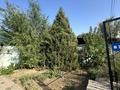 Свободное назначение · 80 м² за 400 000 ₸ в Алматы, Жетысуский р-н — фото 3
