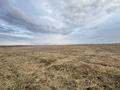 Участок · 7.5 га, Каратауский р-н, мкр Туран-2 за 37 млн ₸ в Шымкенте — фото 9