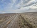 Участок · 7.5 га, Каратауский р-н, мкр Туран-2 за 37 млн ₸ в Шымкенте — фото 11