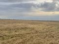 Участок · 7.5 га, Каратауский р-н, мкр Туран-2 за 37 млн ₸ в Шымкенте — фото 16