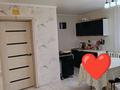 Жеке үй · 4 бөлме · 100 м² · 10 жүзд., Куницы, бағасы: 40 млн ₸ в Кокшетау — фото 9