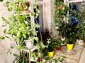 Отдельный дом · 5 комнат · 170 м² · 7 сот., Переулок Демесинова 12 — Айтиева - Желтоксан-Ташкентская за 55 млн 〒 в Таразе — фото 17