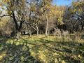 Жер телімі · 20 сотық, Джамбула 1, бағасы: 20 млн ₸ в  — фото 8