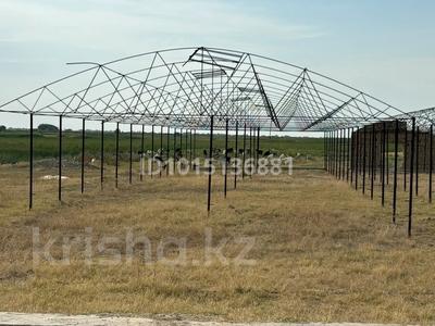 Теплица · 3000 м² за 800 000 ₸ в Жамбылской обл., Байзак