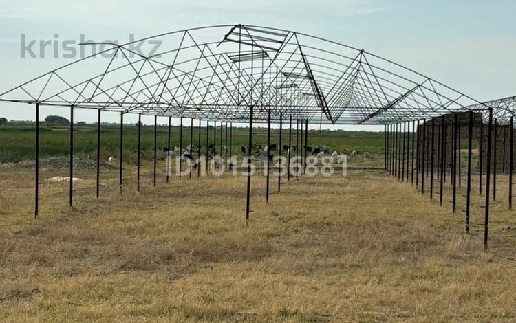 Теплица · 3000 м² за 800 000 ₸ в Жамбылской обл., Байзак — фото 2