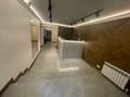Свободное назначение · 240 м² за 255 млн ₸ в Алматы, Алмалинский р-н — фото 43
