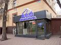 Свободное назначение · 240 м² за 255 млн ₸ в Алматы, Алмалинский р-н — фото 50