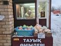 Торговый павильон · 12 м² за 2.1 млн ₸ в Павлодаре — фото 9