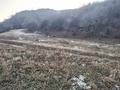 Участок · 7.8 га, Жибек жолы за 100 млн ₸ в Байбулаке — фото 4