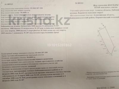 Жер телімі · 5000 сотық, Шелек, бағасы: 50 млн ₸
