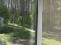 Отдельный дом · 3 комнаты · 100 м² · 17 сот., Орталык 77 за 40 млн ₸ в Акмолинской обл. — фото 32