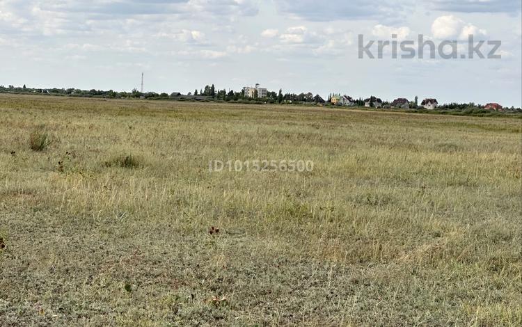 Жер телімі · 10 га, Арайлы, бағасы: 62 млн ₸ — фото 2