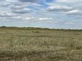 Жер телімі · 10 га, Арайлы, бағасы: 62 млн ₸ — фото 20