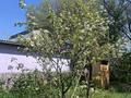 Дача · 3 комнаты · 80 м² · 6 сот., Арман 13 А за 45 млн ₸ в Алматы, Ауэзовский р-н — фото 14