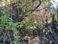 Дача · 3 комнаты · 80 м² · 6 сот., Арман 13 А за 45 млн ₸ в Алматы, Ауэзовский р-н — фото 67