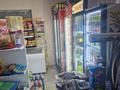 Дүкендер мен бутиктер · 52 м², бағасы: 100 000 ₸ в Шымкенте, Каратауский р-н — фото 6