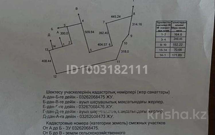 Участок · 60 га, Жаркент за 500 млн 〒 — фото 4
