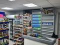 Магазины и бутики • 204 м² за 105 млн 〒 в Кокшетау — фото 4