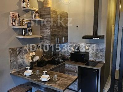 1-комнатная квартира · 27 м² · 1/12 этаж, Шевченко 85 за 300 000 ₸ в Алматы, Алмалинский р-н