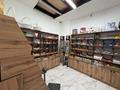 ОВОЩНОЙ МАГАЗИН · 60 м², бағасы: 12 млн ₸ в Астане — фото 2