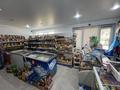 Магазины и бутики · 55 м² за 50 млн ₸ в Актобе, мкр Авиагородок — фото 6