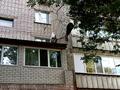 3-комнатная квартира · 61.9 м² · 2/9 этаж, Сатпаева 87 — Сатпаева за 23 млн ₸ в Семее