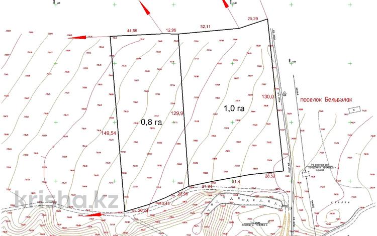 Участок · 180 соток, Бельбулак (Мичурино) за 550 млн 〒 — фото 2