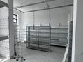 Свободное назначение · 200 м² за 1.5 млн ₸ в Астане, Алматы р-н — фото 21