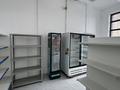 Свободное назначение · 200 м² за 1.5 млн ₸ в Астане, Алматы р-н — фото 34