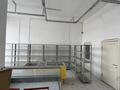 Свободное назначение · 200 м² за 1.5 млн ₸ в Астане, Алматы р-н — фото 4