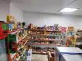 Магазины и бутики · 90 м² за 450 000 ₸ в Жибек Жолы — фото 4