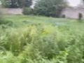 Паркинг · 8 м² · мкр Шугыла за 300 000 ₸ в Алматы, Наурызбайский р-н