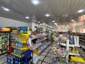 Магазины и бутики · 412 м² за 200 млн 〒 в Сатпаев