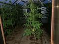 Отдельный дом · 6 комнат · 150 м² · 9 сот., мкр Акбулак, Нурумбека Жандилдина 22/1 за 90 млн ₸ в Алматы, Алатауский р-н — фото 10