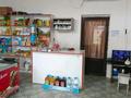 Магазины и бутики • 150 м² за 25 млн 〒 в Сарыагаш — фото 21