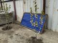 Отдельный дом · 4 комнаты · 140 м² · 10 сот., Гулден, 2ряд 4в за 22 млн ₸ в Атырау — фото 11
