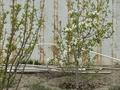 Отдельный дом · 4 комнаты · 140 м² · 10 сот., Гулден, 2ряд 4в за 22 млн ₸ в Атырау — фото 14