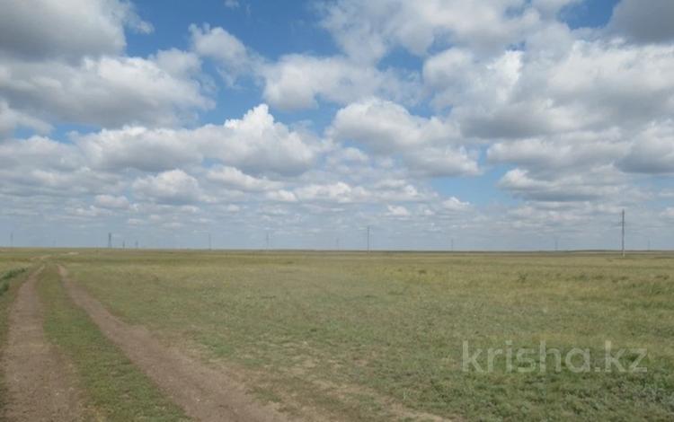 Жер телімі · 82 га, Акмолинская обл., бағасы: 1.5 млрд ₸ — фото 2